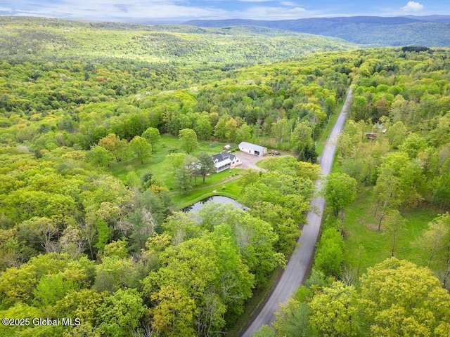 440 Posson Hill Rd, Middleburgh, NY 12122 - aerial view of a heavily wooded area and a large body of water