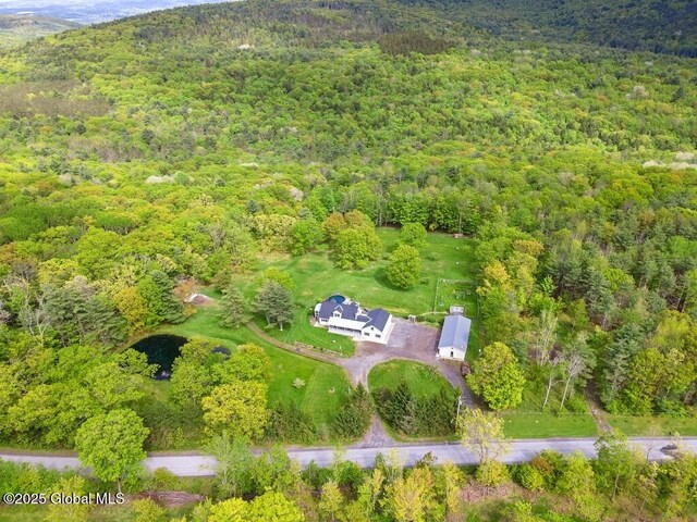 440 Posson Hill Rd, Middleburgh, NY 12122 - drone / aerial view of a forest