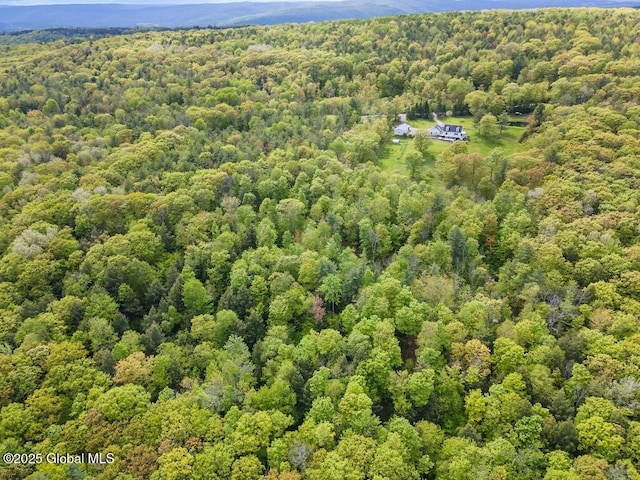 440 Posson Hill Rd, Middleburgh, NY 12122 - drone / aerial view of a forest