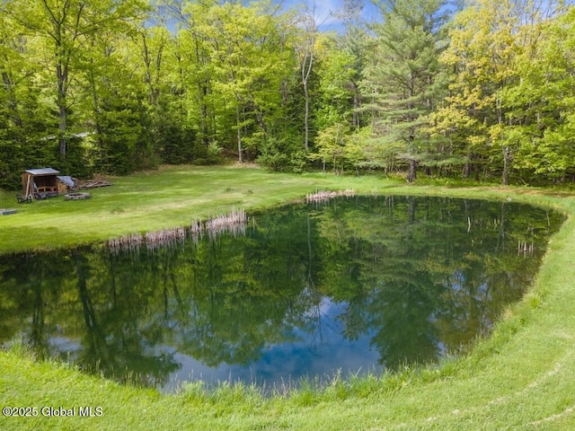 440 Posson Hill Rd, Middleburgh, NY 12122 - water view featuring a forest
