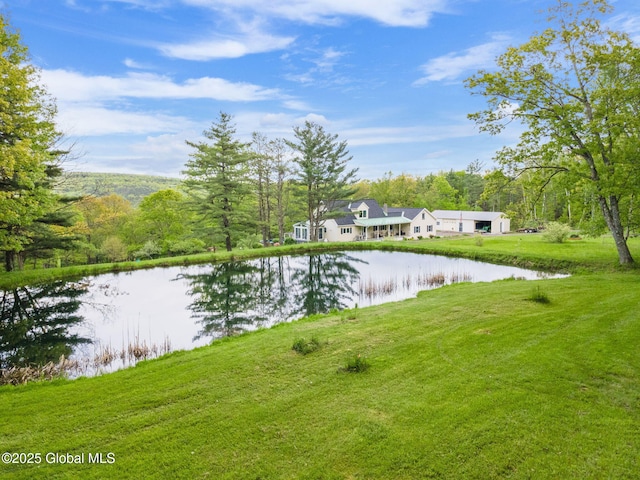 440 Posson Hill Rd, Middleburgh, NY 12122 - water view