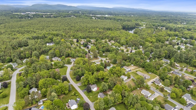 13 Heresford Ln, Queensbury, NY 12804 - photo 44