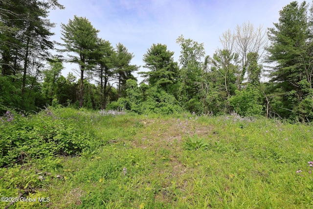 1286 Aquetuck Rd, New Baltimore, NY 12143
