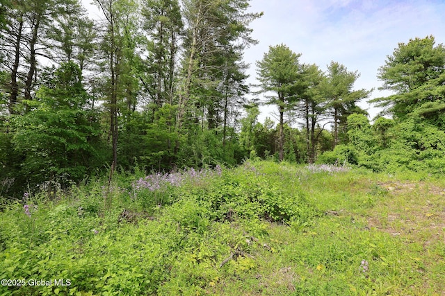 1286 Aquetuck Rd, New Baltimore, NY 12143