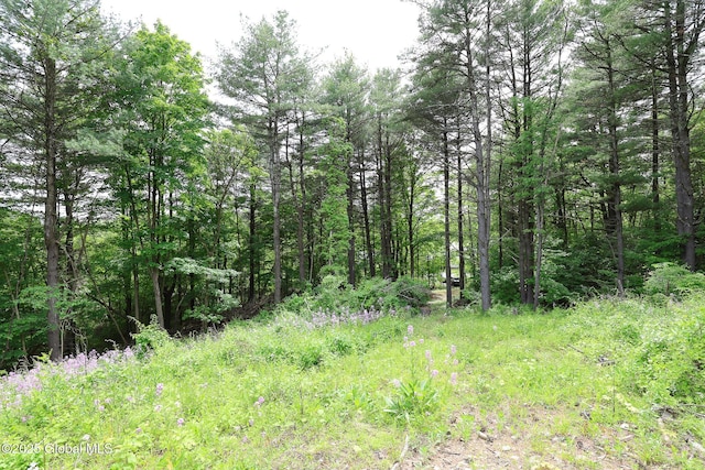 1286 Aquetuck Rd, New Baltimore, NY 12143
