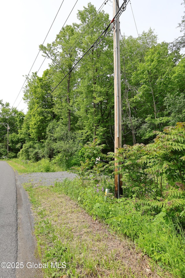 1286 Aquetuck Rd, New Baltimore, NY 12143
