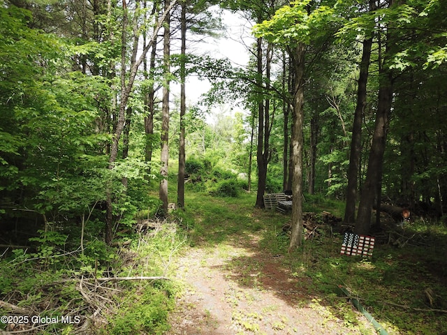 1286 Aquetuck Rd, New Baltimore, NY 12143