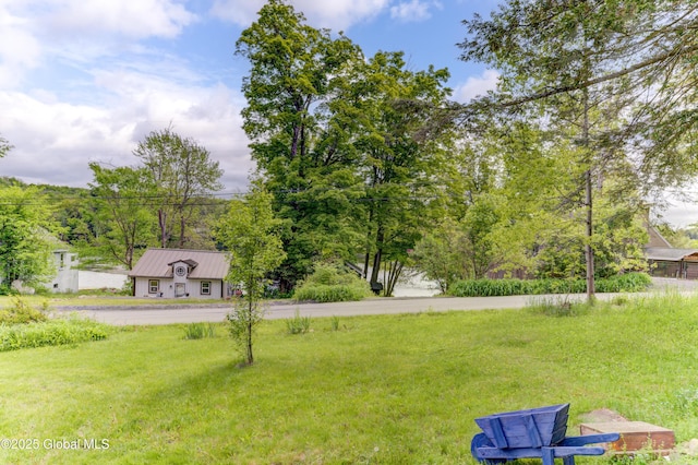 165 Lake Rd, Westerlo, NY 12023 - view of grassy yard