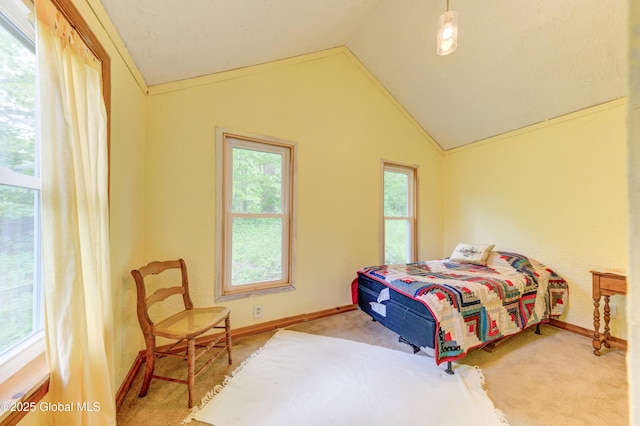165 Lake Rd, Westerlo, NY 12023 - carpeted bedroom with lofted ceiling and baseboards
