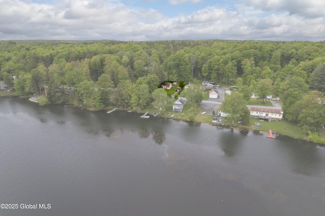 165 Lake Rd, Westerlo, NY 12023 - aerial view of property and surrounding area with a forest and a large body of water