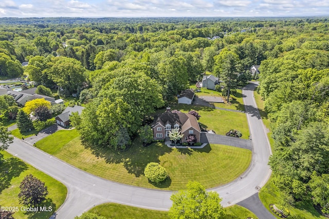 17 Brendan Ln, Niskayuna, NY 12309 - aerial view of a heavily wooded area