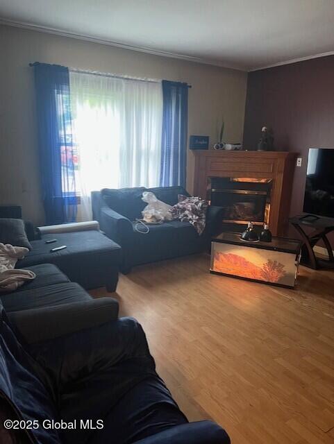 34 Haskell St, Hagaman, NY 12086 - living area with crown molding, wood finished floors, and a glass covered fireplace