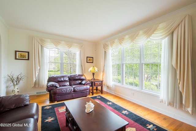 1 Avalon Ct, Colonie, NY 12211 - living room featuring crown molding, healthy amount of natural light, and wood finished floors