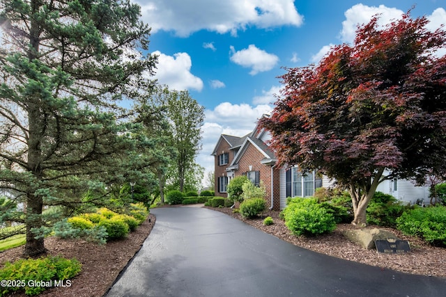 1 Avalon Ct, Colonie, NY 12211 - view of asphalt driveway