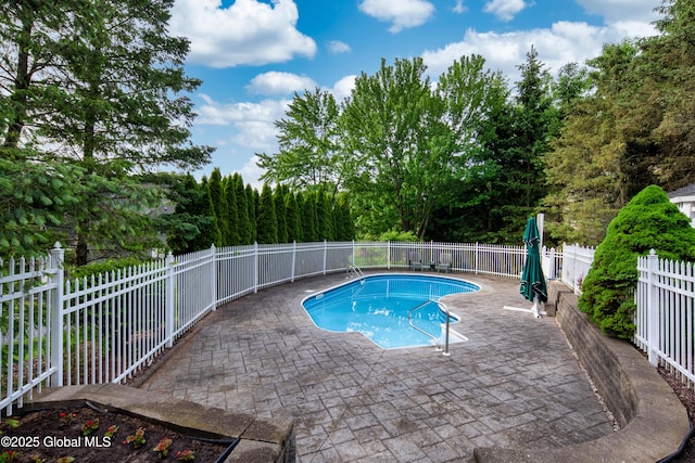 1 Avalon Ct, Colonie, NY 12211 - view of swimming pool featuring a patio