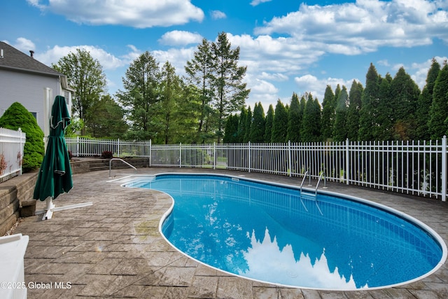 1 Avalon Ct, Colonie, NY 12211 - view of swimming pool featuring a patio