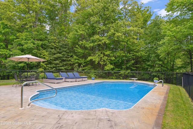 151 Edie Rd, Wilton, NY 12866 - view of pool with a patio