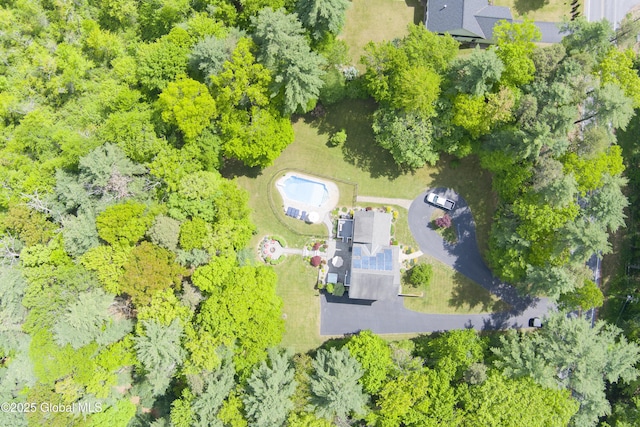 151 Edie Rd, Wilton, NY 12866 - bird's eye view
