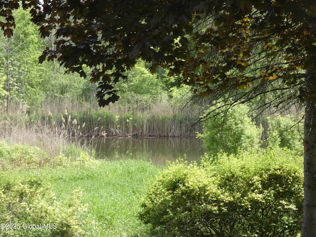 2541 N Line Rd, Galway, NY 12074 - view of tree filled area featuring a water view