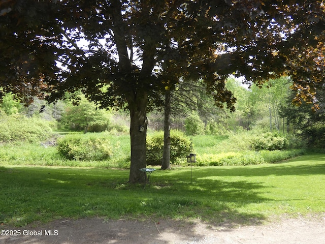 2541 N Line Rd, Galway, NY 12074 - view of grassy yard