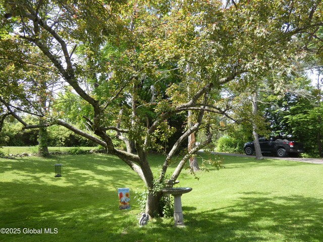 2541 N Line Rd, Galway, NY 12074 - view of grassy yard
