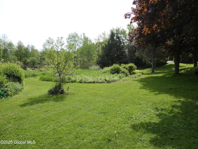 2541 N Line Rd, Galway, NY 12074 - view of grassy yard