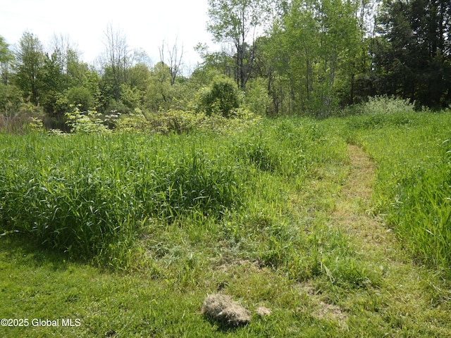 2541 N Line Rd, Galway, NY 12074 - view of nature