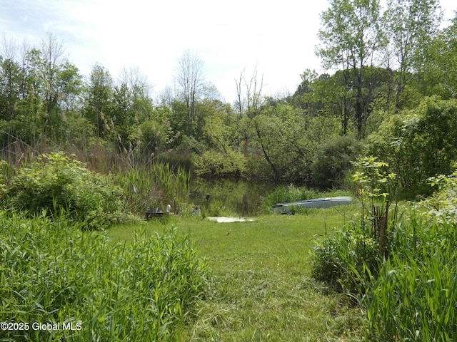 2541 N Line Rd, Galway, NY 12074 - view of yard