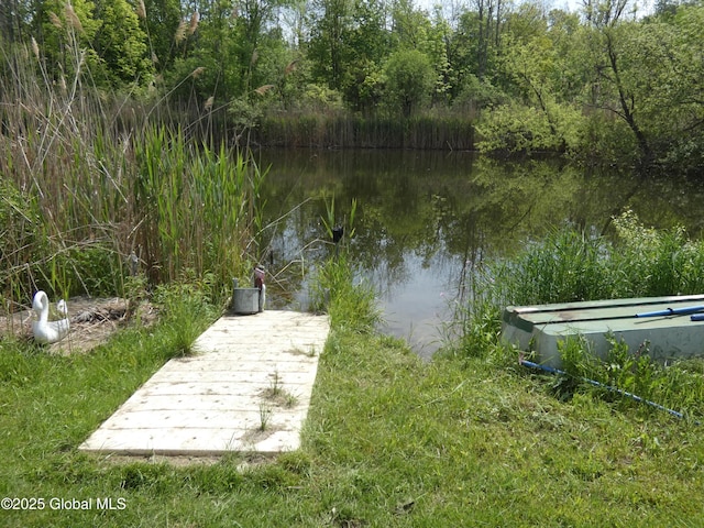 2541 N Line Rd, Galway, NY 12074 - dock area featuring a water view and a forest view
