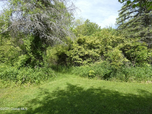 2541 N Line Rd, Galway, NY 12074 - view of woods
