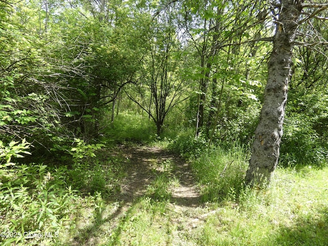 2541 N Line Rd, Galway, NY 12074 - view of tree filled area