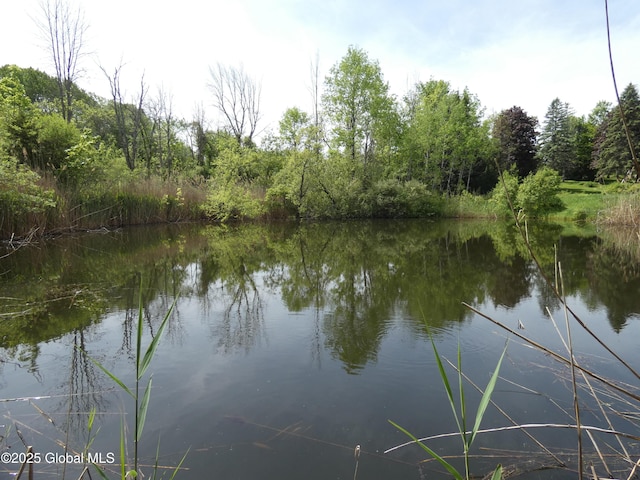 2541 N Line Rd, Galway, NY 12074 - water view