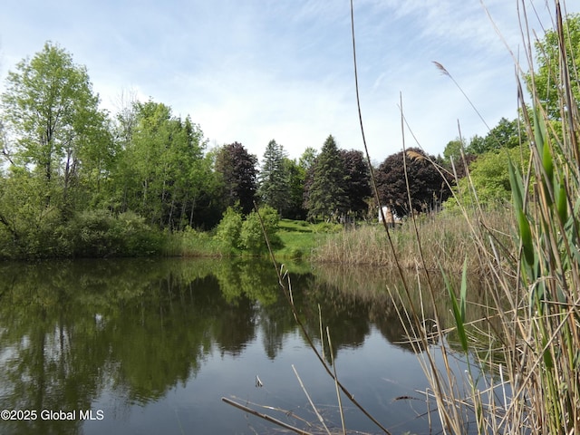 2541 N Line Rd, Galway, NY 12074 - water view