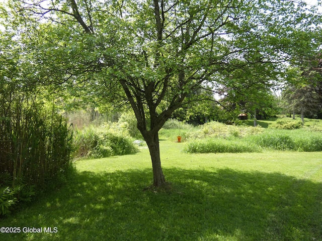 2541 N Line Rd, Galway, NY 12074 - view of grassy yard