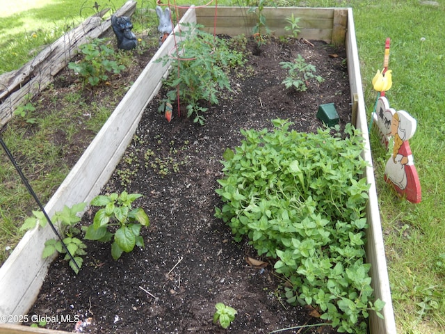 2541 N Line Rd, Galway, NY 12074 - exterior view of a garden