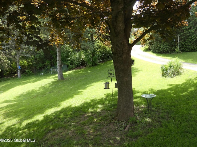 2541 N Line Rd, Galway, NY 12074 - view of grassy yard
