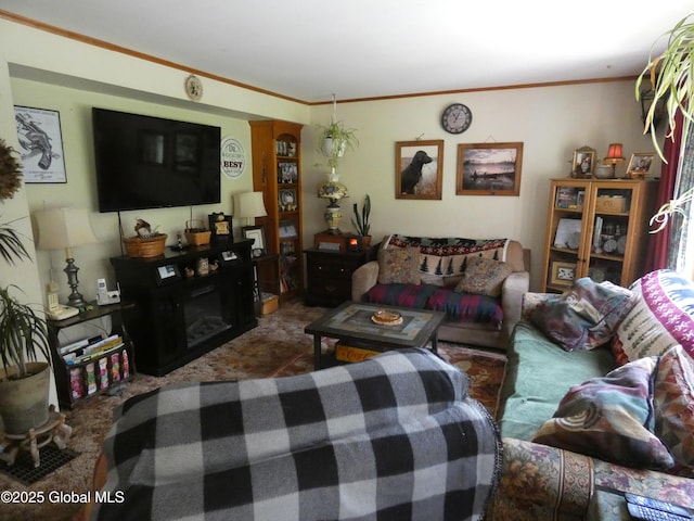 2541 N Line Rd, Galway, NY 12074 - living area featuring ornamental molding