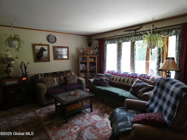 2541 N Line Rd, Galway, NY 12074 - view of living area