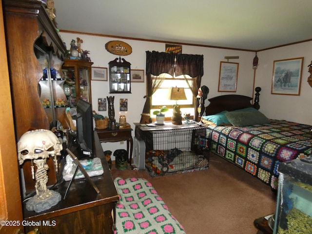 2541 N Line Rd, Galway, NY 12074 - bedroom featuring ornamental molding and carpet flooring