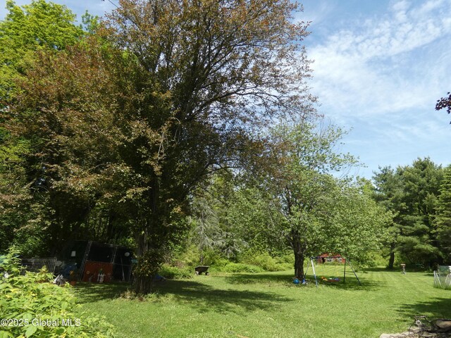 2541 N Line Rd, Galway, NY 12074 - view of green lawn