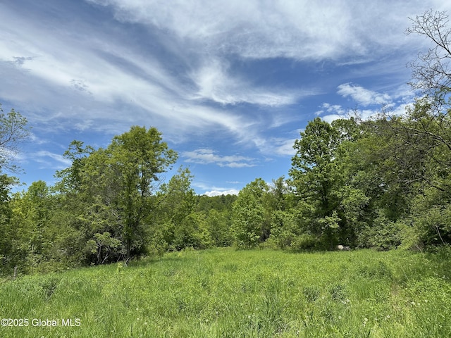 2368 County Route 12, Whitehall, NY 12887 - photo 3