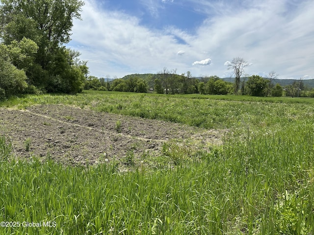 2368 County Route 12, Whitehall, NY 12887 - photo 5