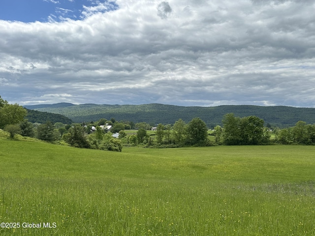 2368 County Route 12, Whitehall, NY 12887 - photo 24