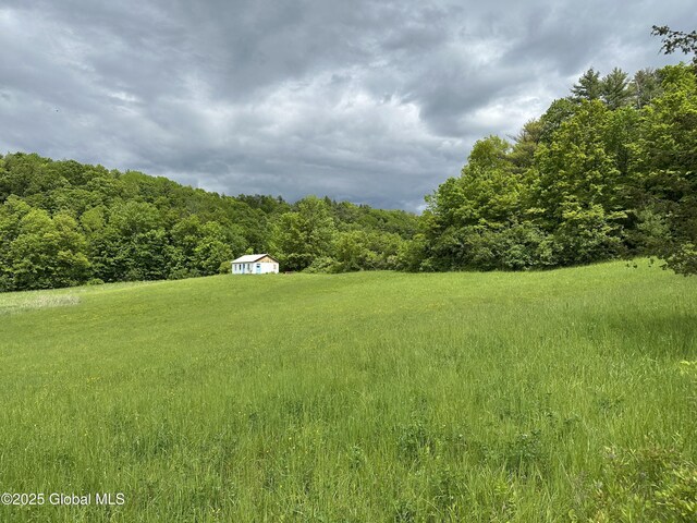 2368 County Route 12, Whitehall, NY 12887 - photo 25