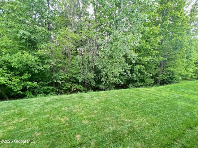 181 Fieldstone Dr, Niskayuna, NY 12304 - view of green lawn