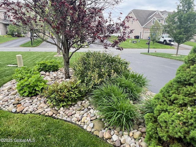181 Fieldstone Dr, Niskayuna, NY 12304 - view of green lawn