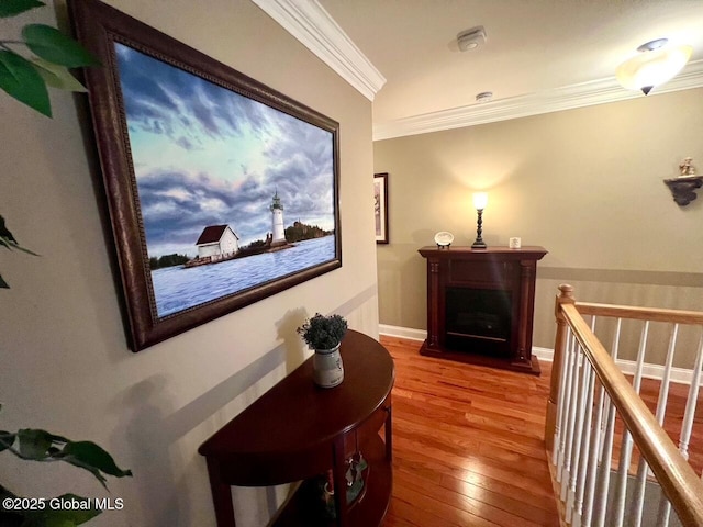 181 Fieldstone Dr, Niskayuna, NY 12304 - corridor with crown molding, hardwood / wood-style floors, and baseboards