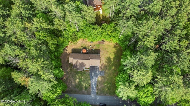 33 White Birch Dr, Lake Luzerne, NY 12846 - aerial view of property and surrounding area