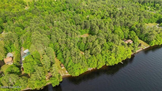 33 White Birch Dr, Lake Luzerne, NY 12846 - aerial overview of property's location with a forest and a large body of water