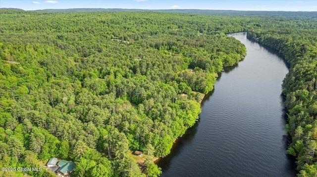 33 White Birch Dr, Lake Luzerne, NY 12846 - aerial overview of property's location featuring a forest and a large body of water